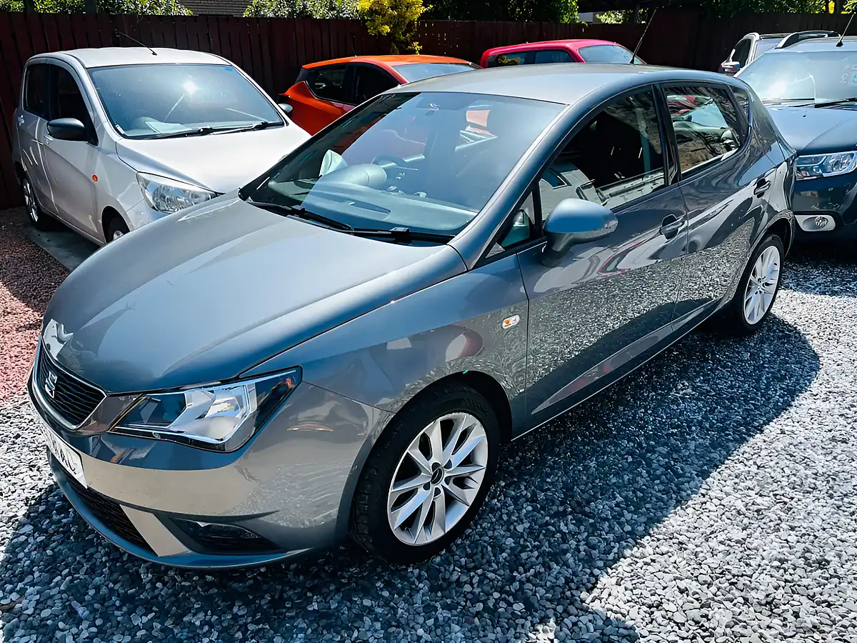 Used 2015 SEAT Ibiza Toca Grey - Interior and Exterior details 19