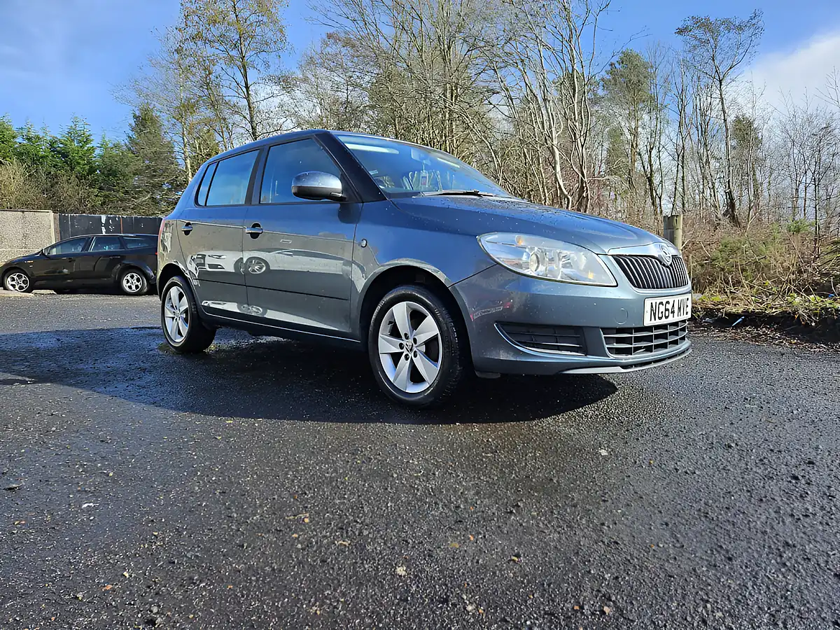 Used 2015 Skoda Fabia Se Grey - Front View
