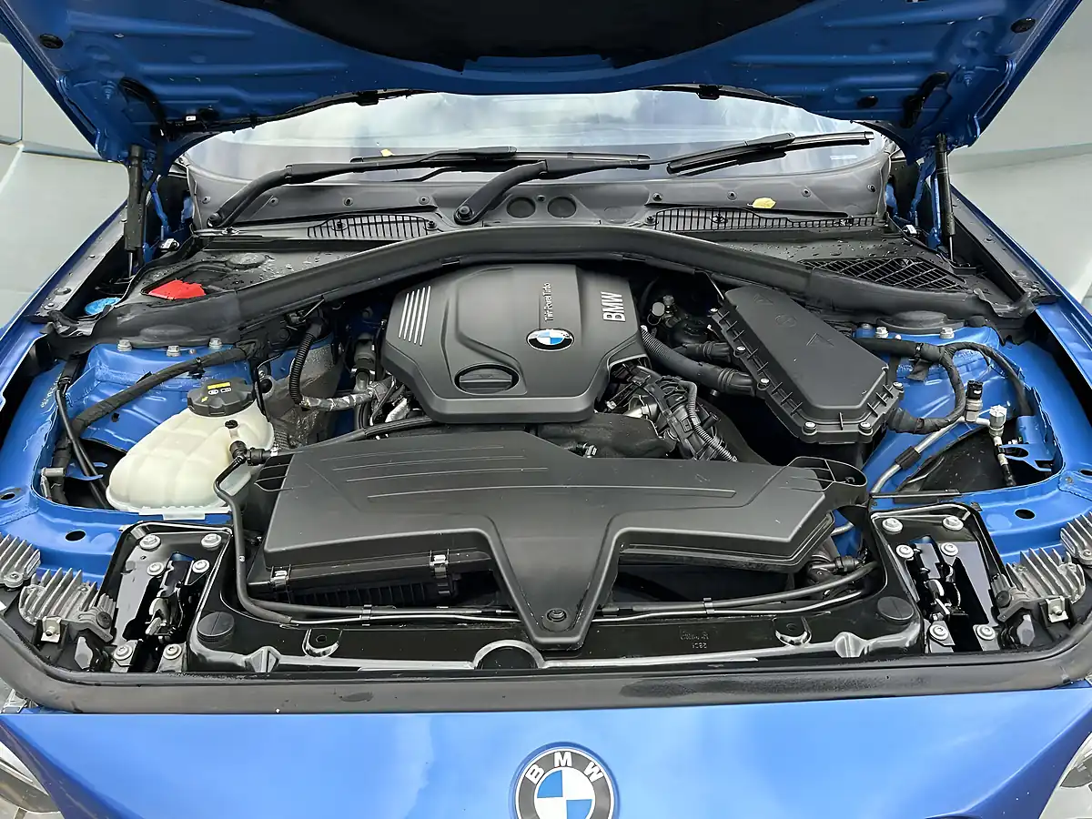 Used 2016 BMW 2 Series M Sport Blue - Interior and Exterior details 18