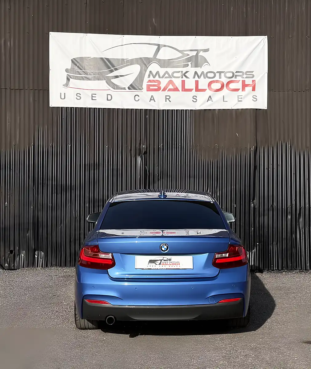 Used 2016 BMW 2 Series M Sport Blue - Interior and Exterior details 6
