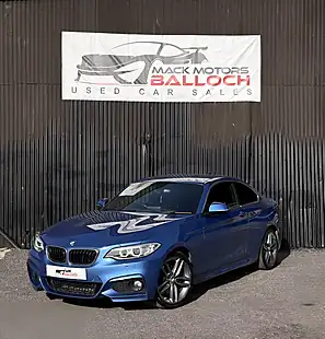Used 2016 BMW 2 Series M Sport Blue - Interior and Exterior details 9