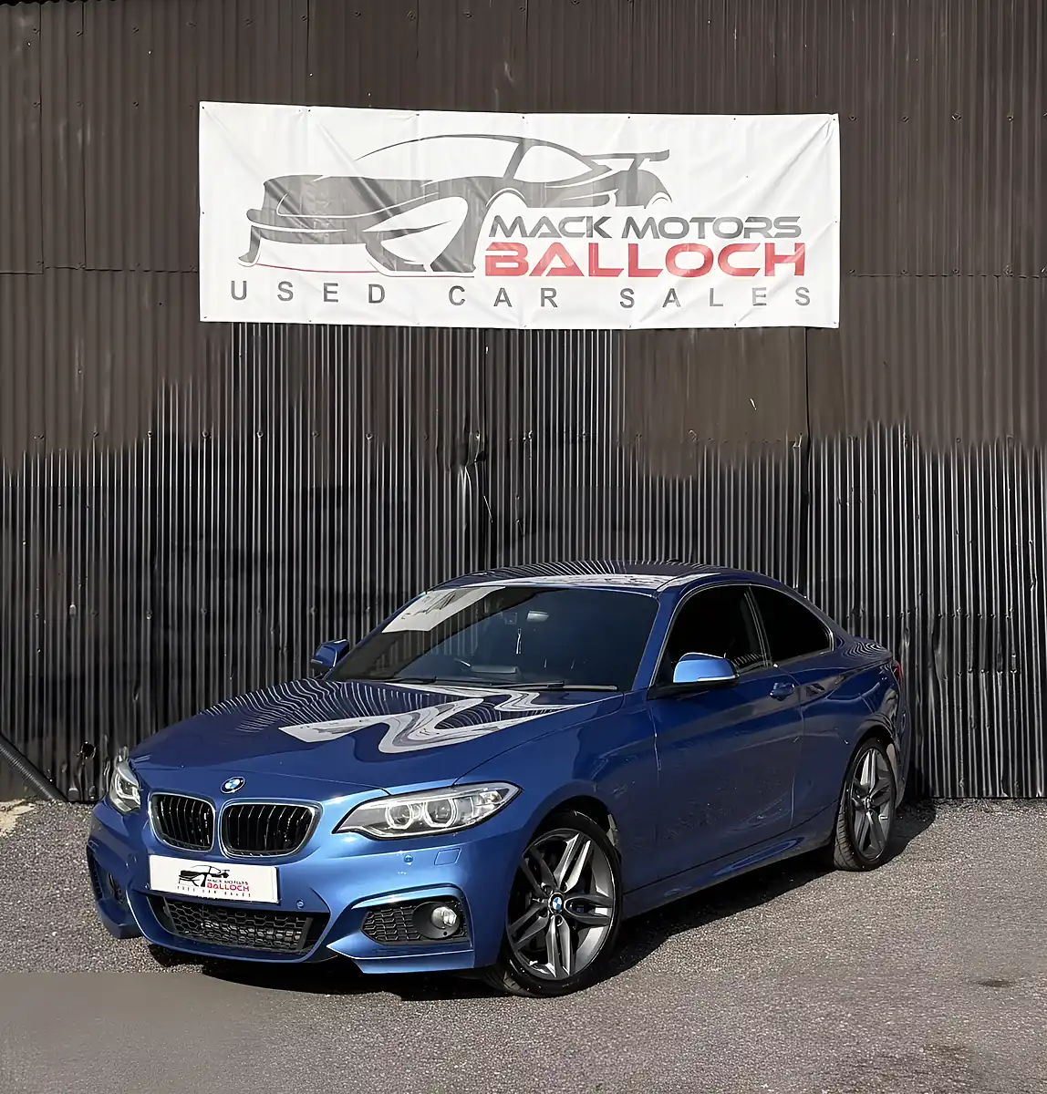 Used 2016 BMW 2 Series M Sport Blue - Interior and Exterior details 9