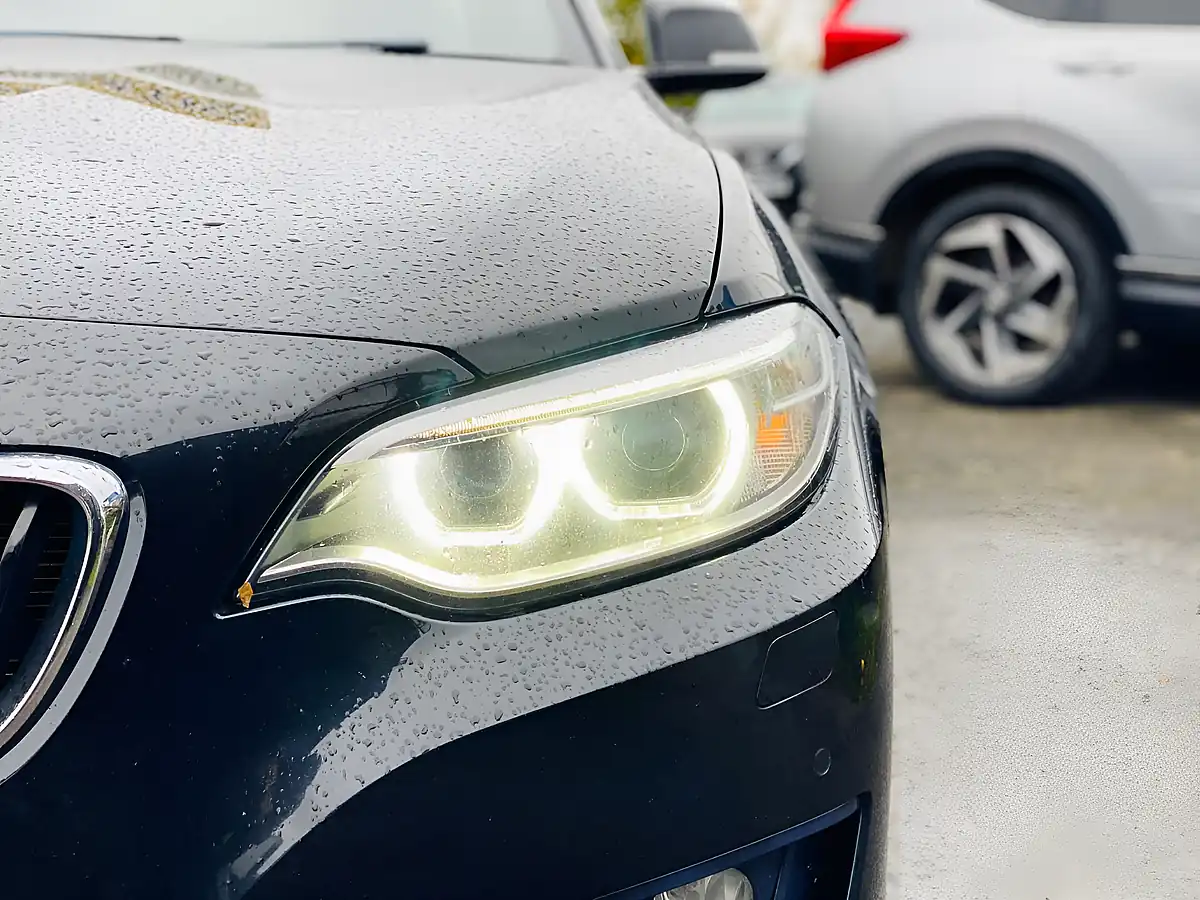 Used 2016 BMW 2 Series Sport Black - Interior and Exterior details 12