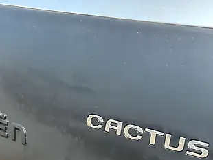 Used 2016 Citroen C4 Cactus Feel Silver - Interior and Exterior details 12