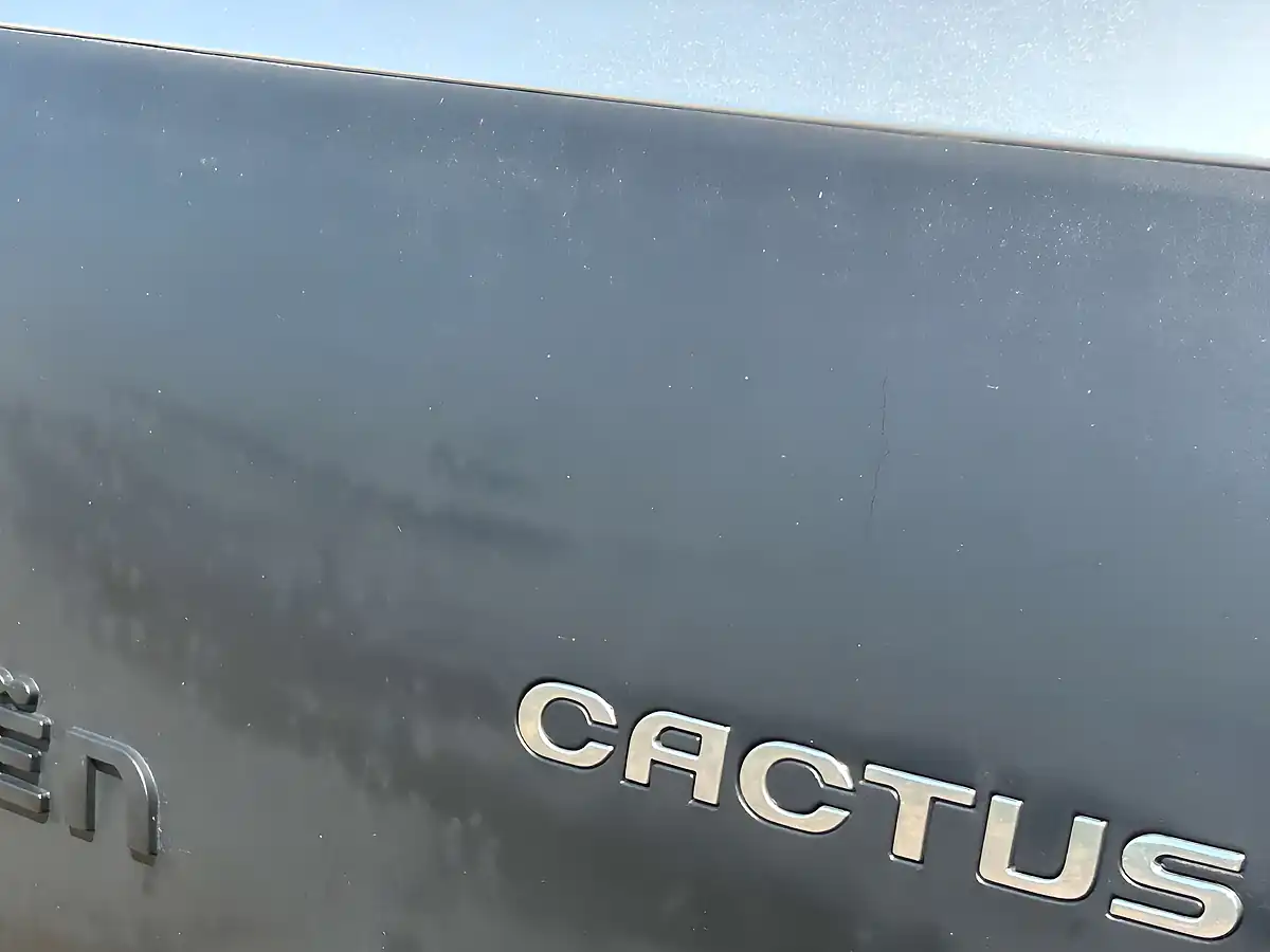 Used 2016 Citroen C4 Cactus Feel Silver - Interior and Exterior details 12