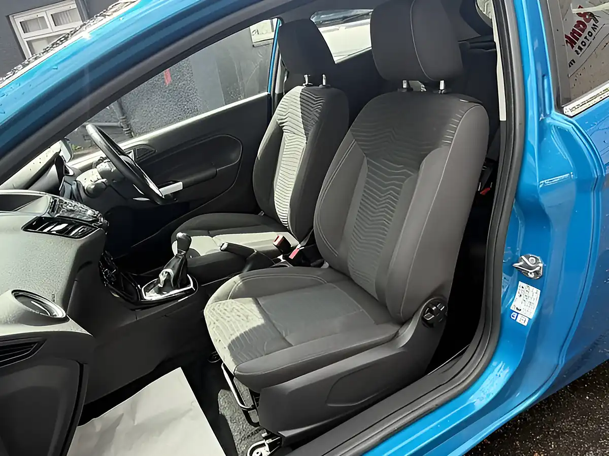 Used 2016 Ford Fiesta Zetec Blue Edition Blue - Interior and Exterior details 13
