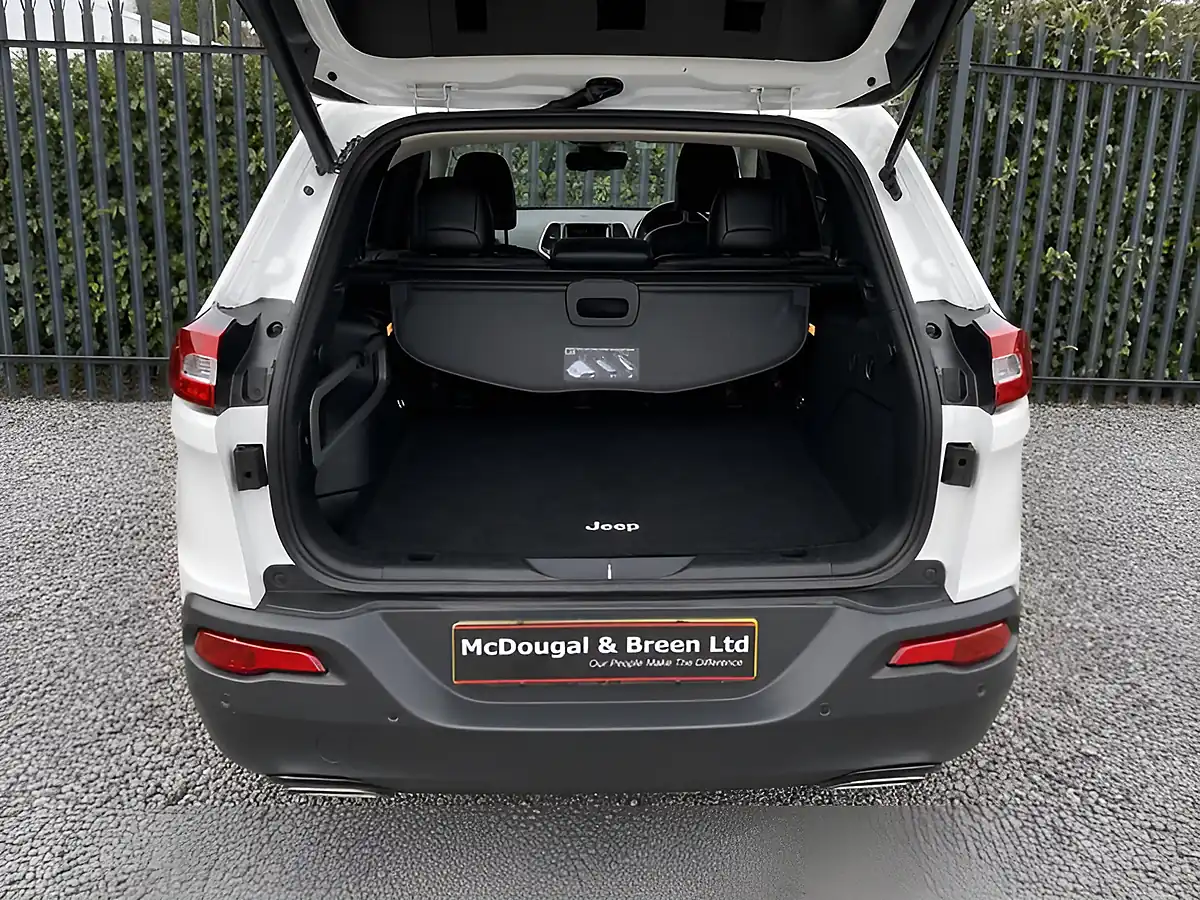 Used 2016 Jeep Cherokee Night Eagle White - Interior and Exterior details 15
