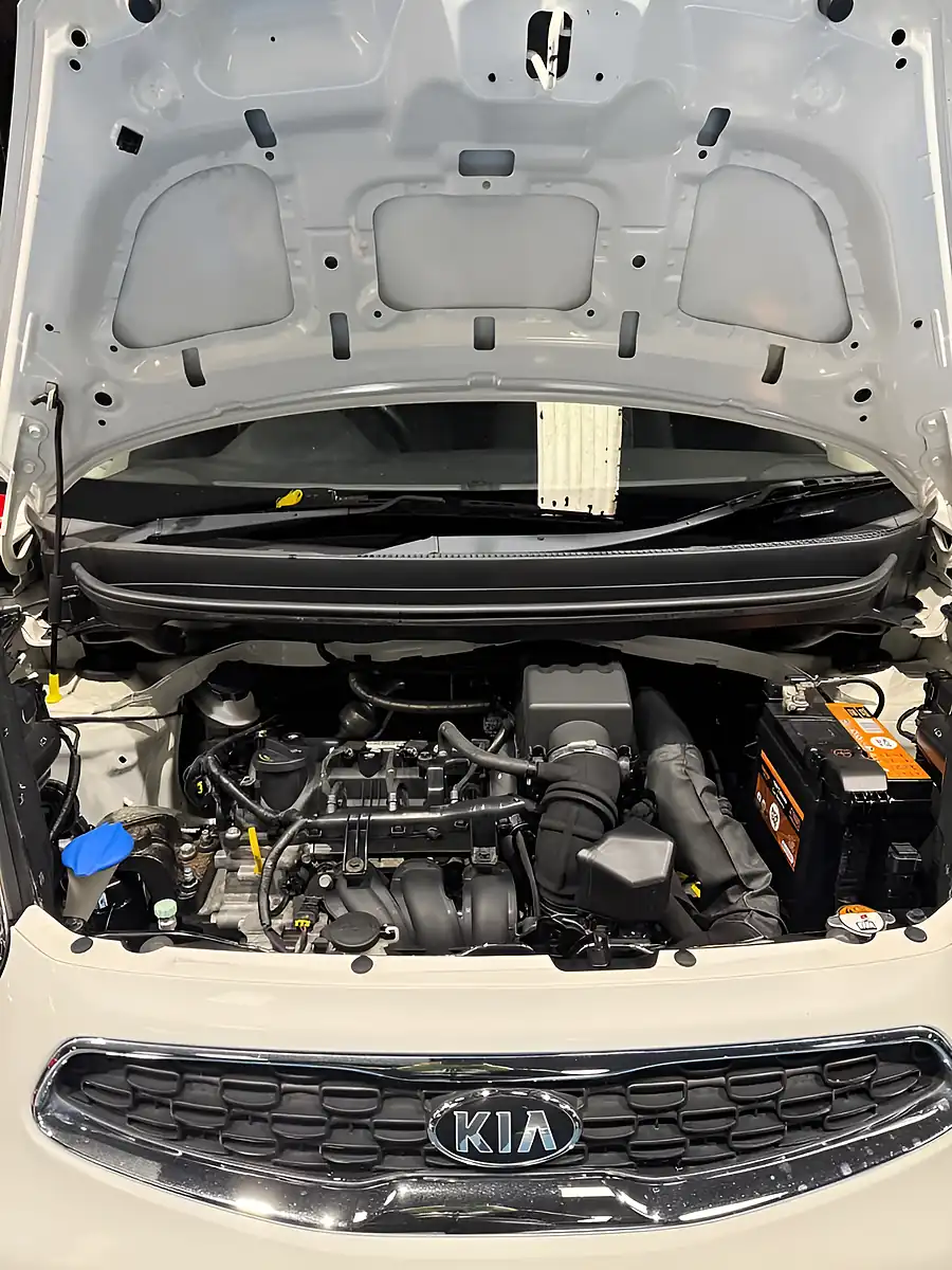 Used 2016 Kia Picanto SR7 White - Interior and Exterior details 2