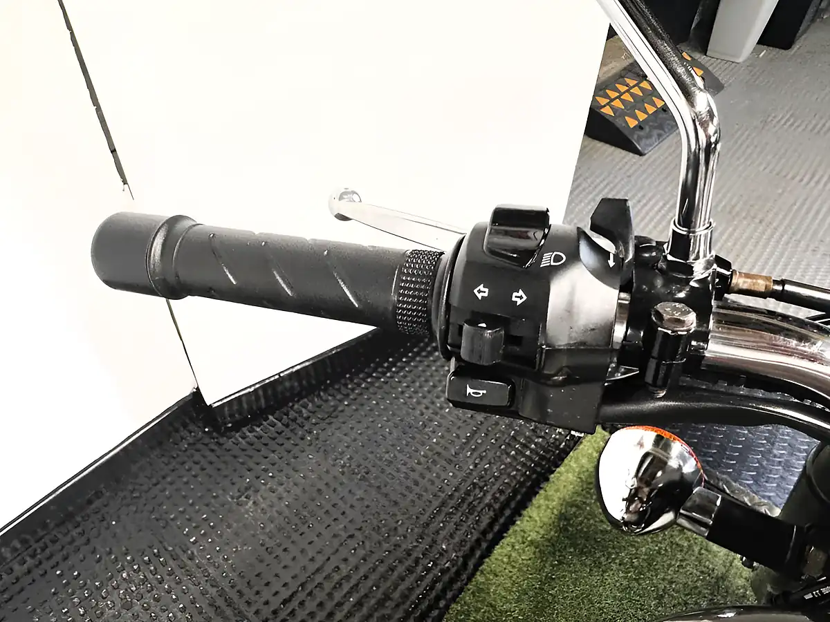 Used 2016 Royal Enfield Bullet Roadster/Retro Grey - Interior and Exterior details 14