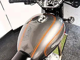 Used 2016 Royal Enfield Bullet Roadster/Retro Grey - Interior and Exterior details 8