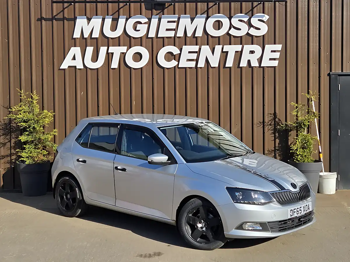 Used 2016 Skoda Fabia Se L Silver - Front View