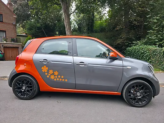 2016 Smart Forfour 0.9T Edition 1