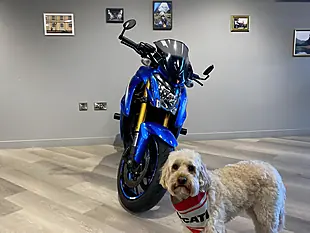 Used 2016 Suzuki GSX-S1000 AL6 Blue - Interior and Exterior details 5