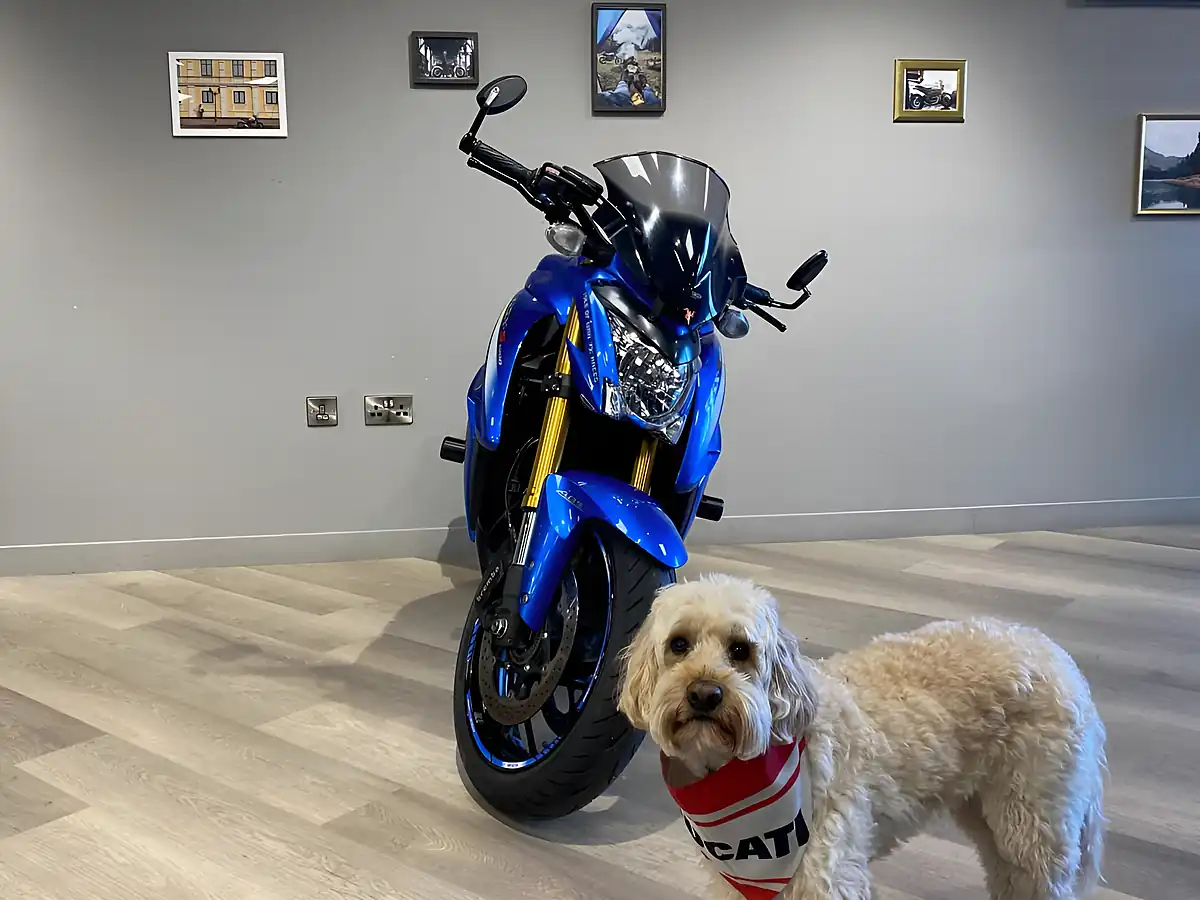 Used 2016 Suzuki GSX-S1000 AL6 Blue - Interior and Exterior details 5