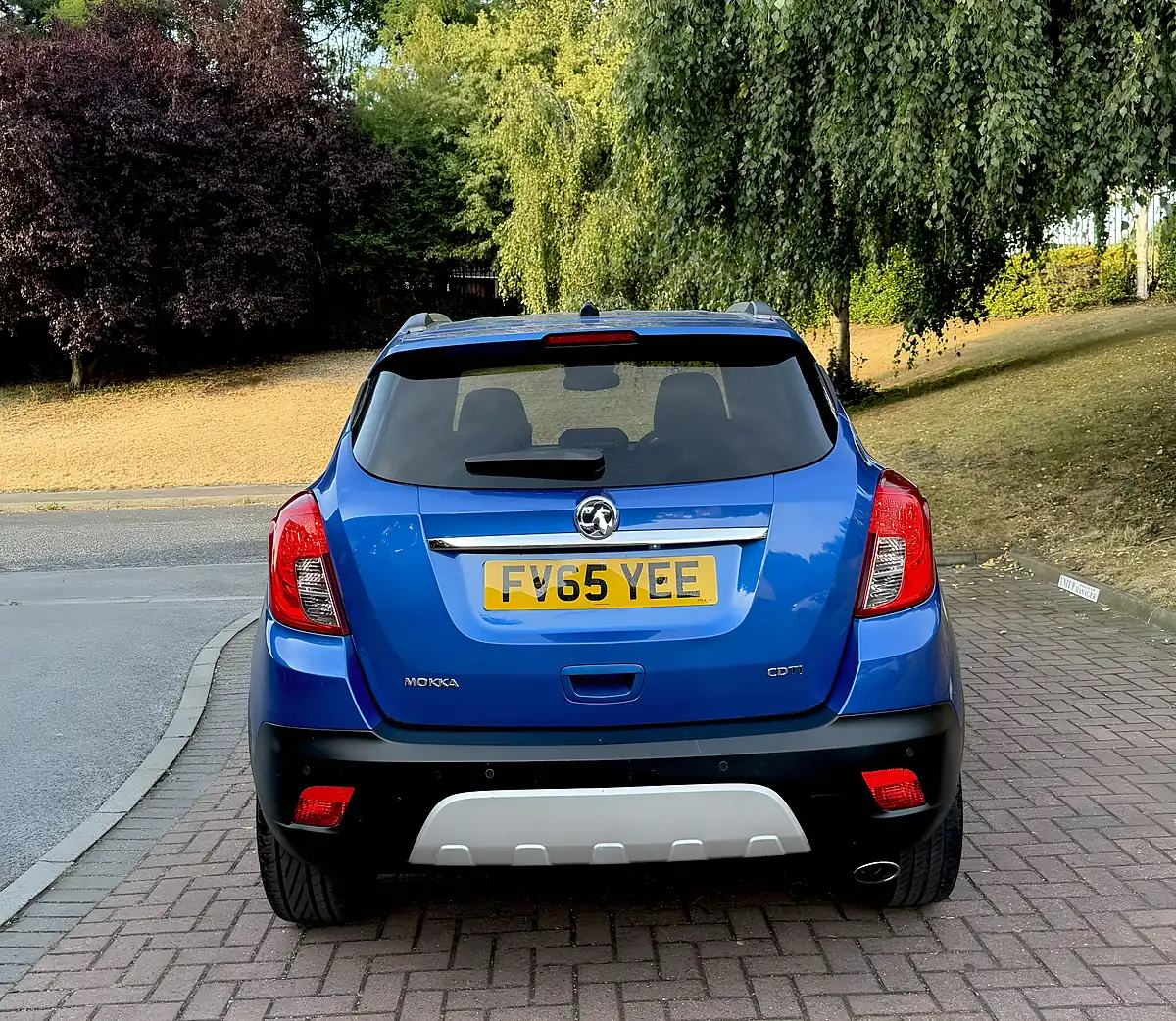Used 2016 Vauxhall Mokka Se Blue - Interior and Exterior details 6