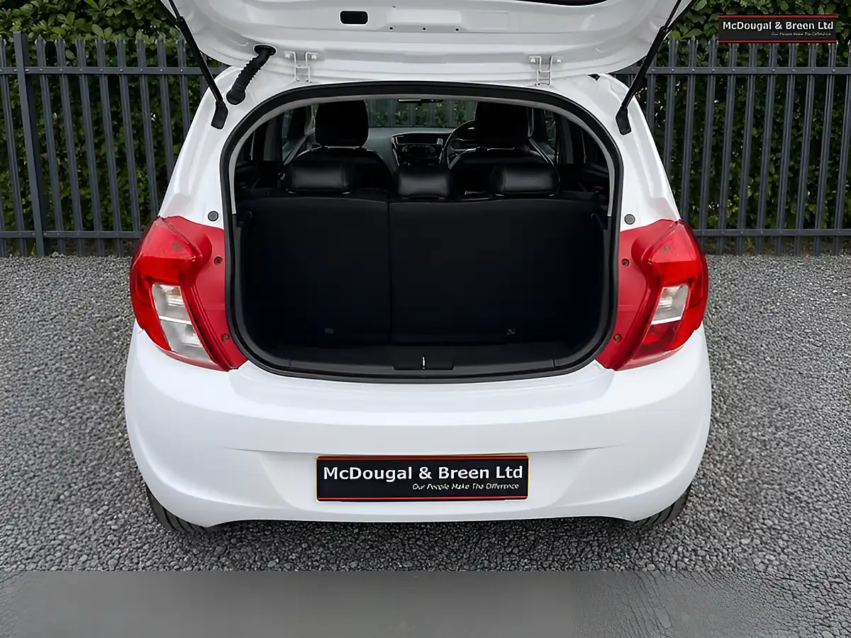 Used 2016 Vauxhall Viva Sl White - Interior and Exterior details 15