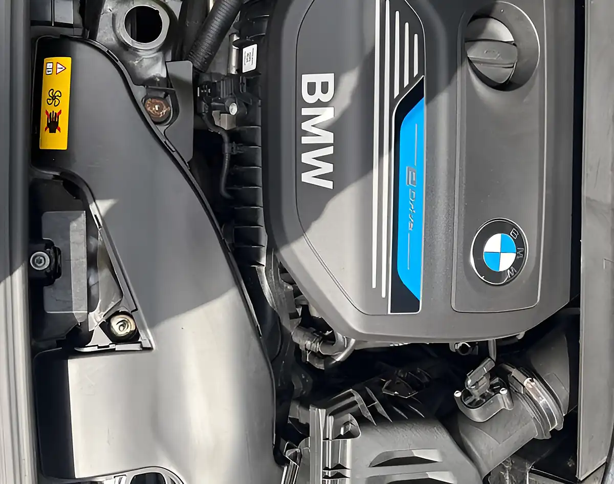 Used 2017 BMW 2 Series Sport Black - Interior and Exterior details 13