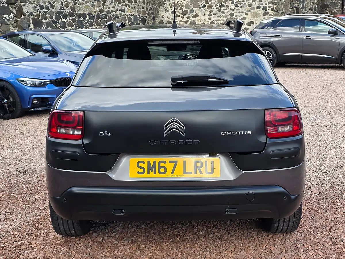 Used 2017 Citroen C4 Cactus Flair Platinum Grey Metallic - Interior and Exterior details 17