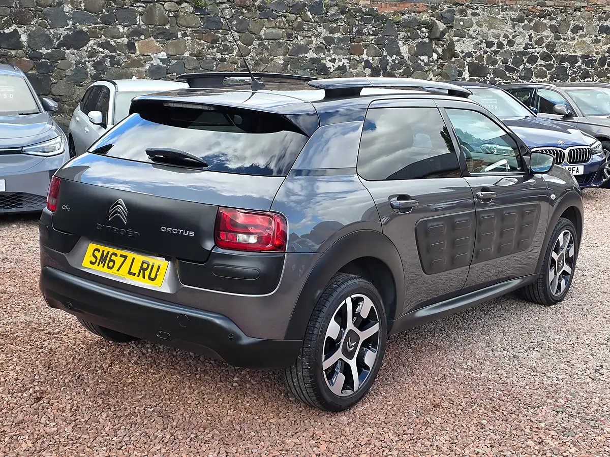 Used 2017 Citroen C4 Cactus Flair Platinum Grey Metallic - Interior and Exterior details 18