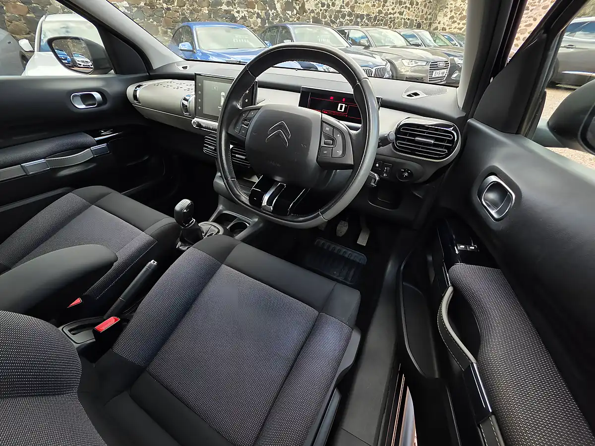 Used 2017 Citroen C4 Cactus Flair Platinum Grey Metallic - Interior and Exterior details 9