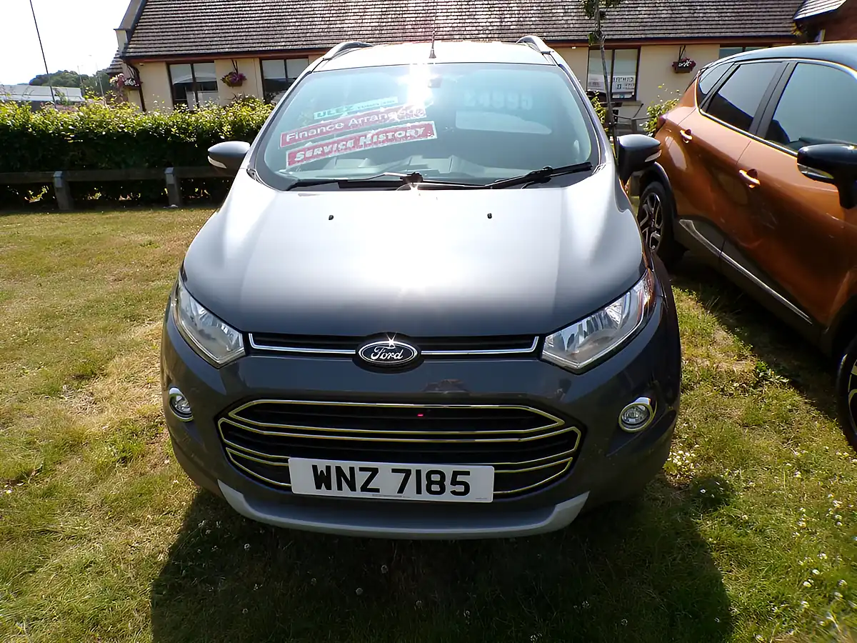 Used 2017 Ford Ecosport Titanium Grey - Interior and Exterior details 15