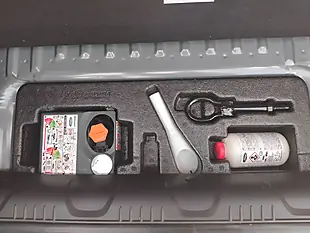 Used 2017 Ford Ecosport Titanium Grey - Interior and Exterior details 19