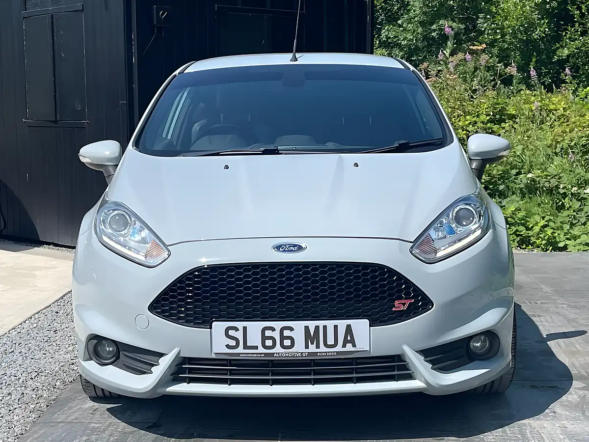 Used 2017 Ford Fiesta ST-200 Grey - Interior and Exterior details 2