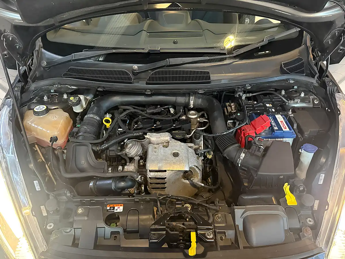 Used 2017 Ford Fiesta ST-Line Grey - Interior and Exterior details 20