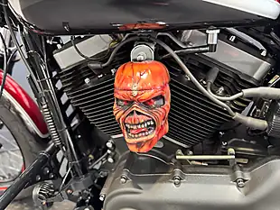 Used 2017 Harley-Davidson Dyna - Interior and Exterior details 17