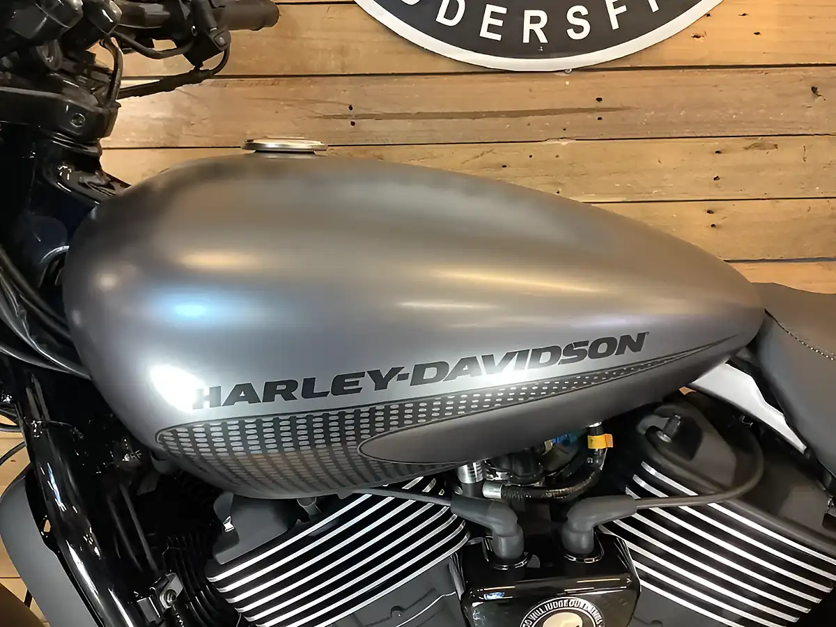 Used 2017 Harley-Davidson Street Xg Rod Grey - Interior and Exterior details 14