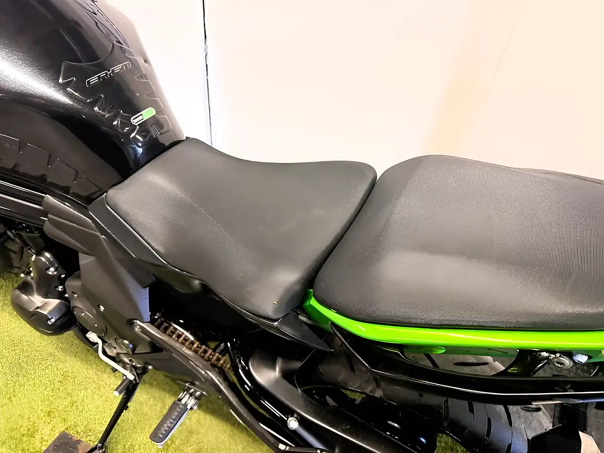 Used 2017 Kawasaki ER-6N Naked Green - Interior and Exterior details 19