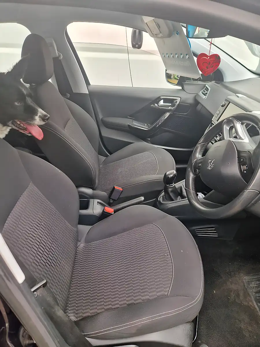 Used 2017 Peugeot 208 Active Blue - Interior and Exterior details 16