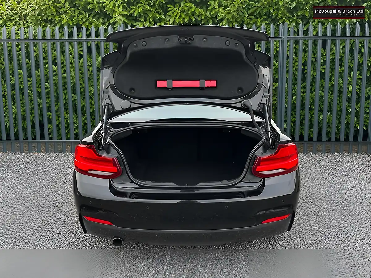 Used 2018 BMW 2 Series M Sport Black - Interior and Exterior details 9