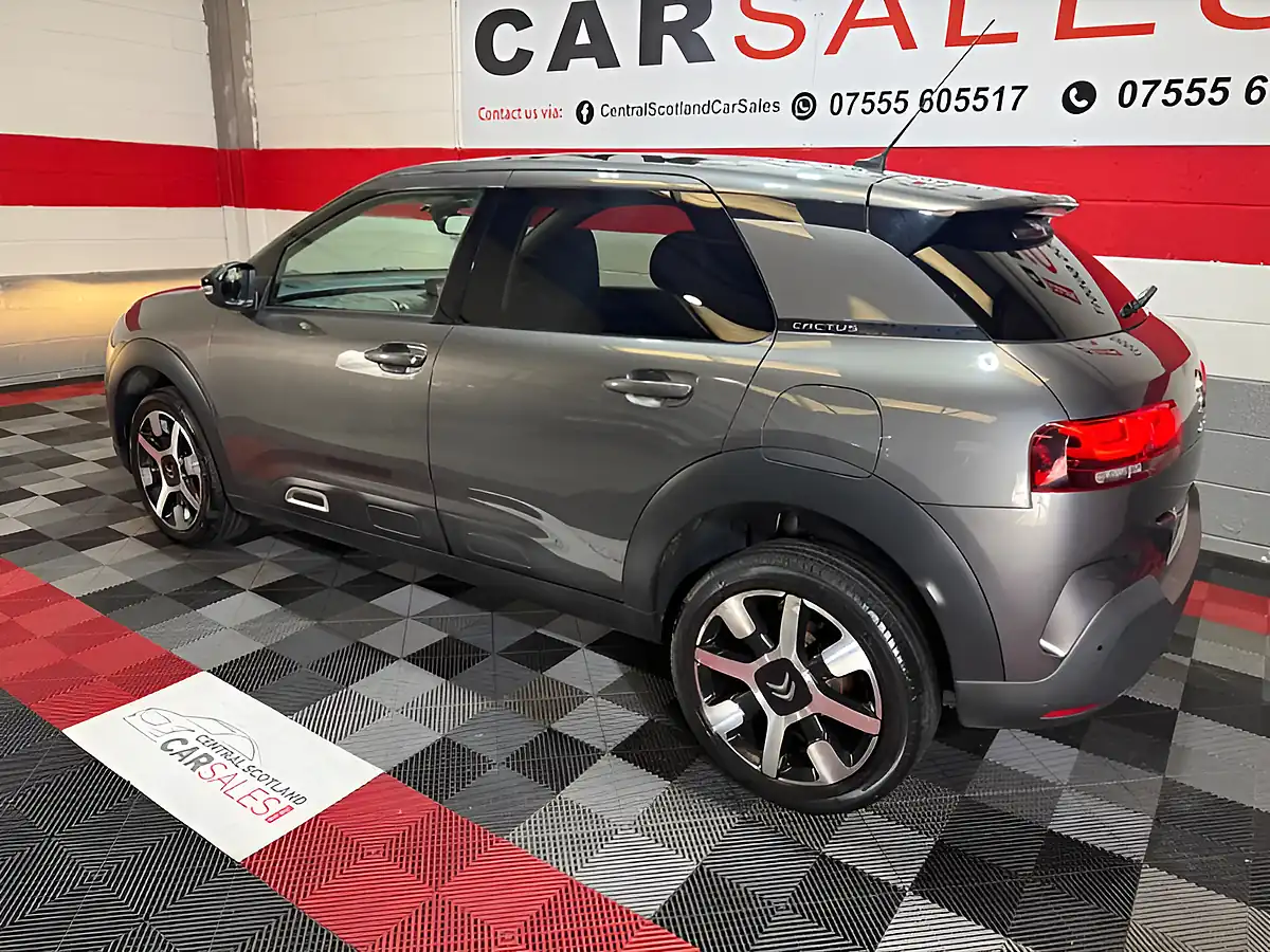 Used 2018 Citroen C4 Cactus Flair Grey - Interior and Exterior details 3