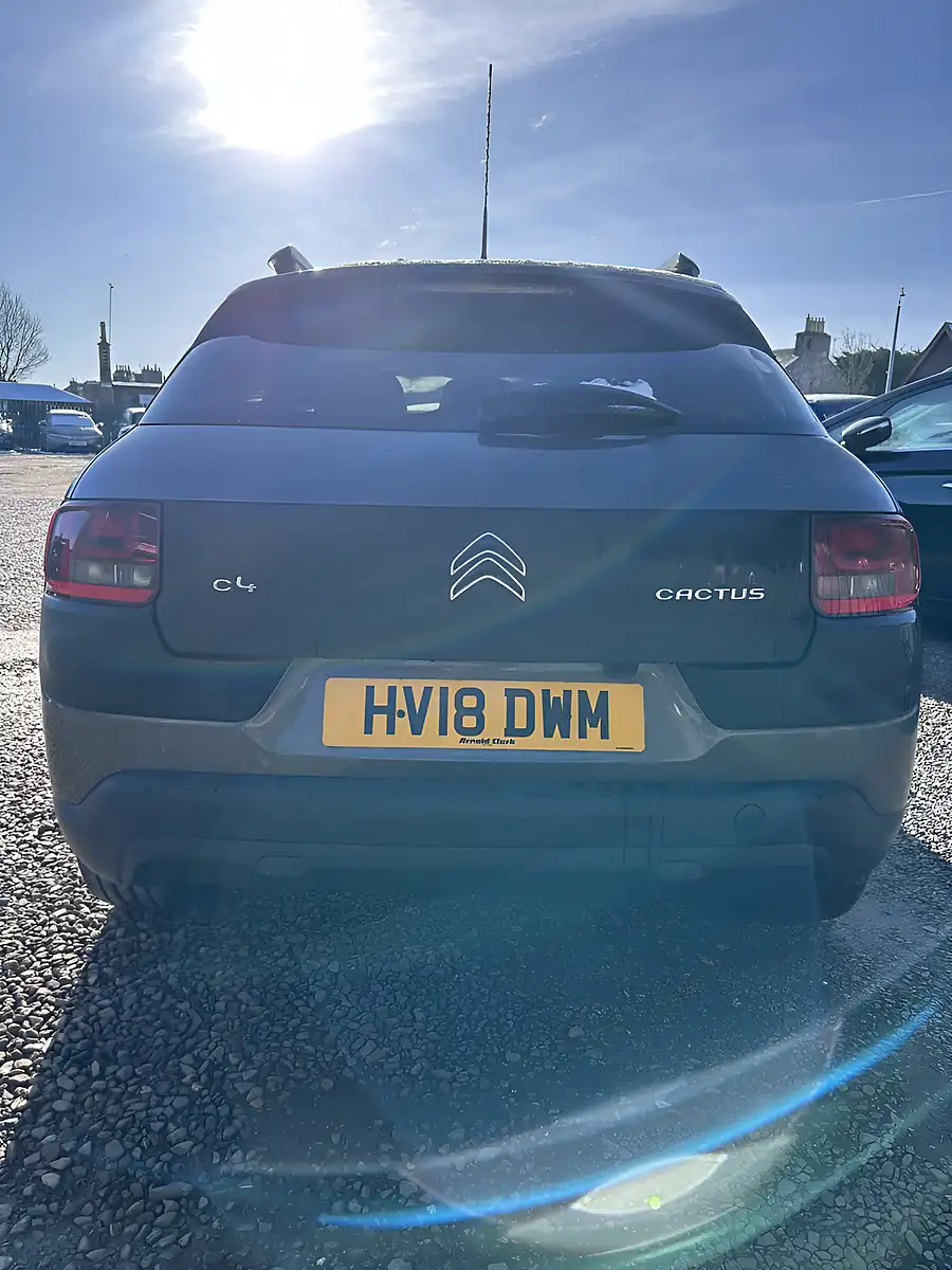 Used 2018 Citroen C4 Cactus Flair Grey - Interior and Exterior details 11