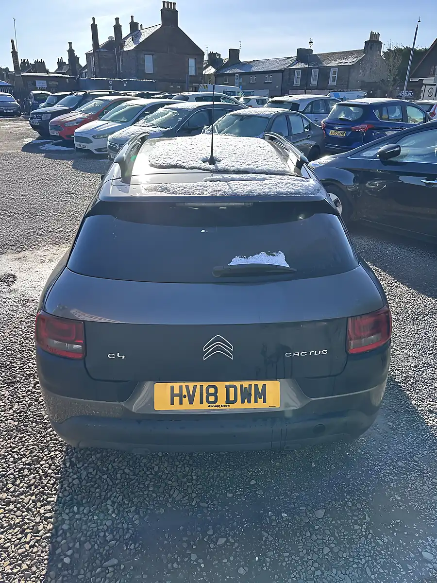 Used 2018 Citroen C4 Cactus Flair Grey - Interior and Exterior details 12