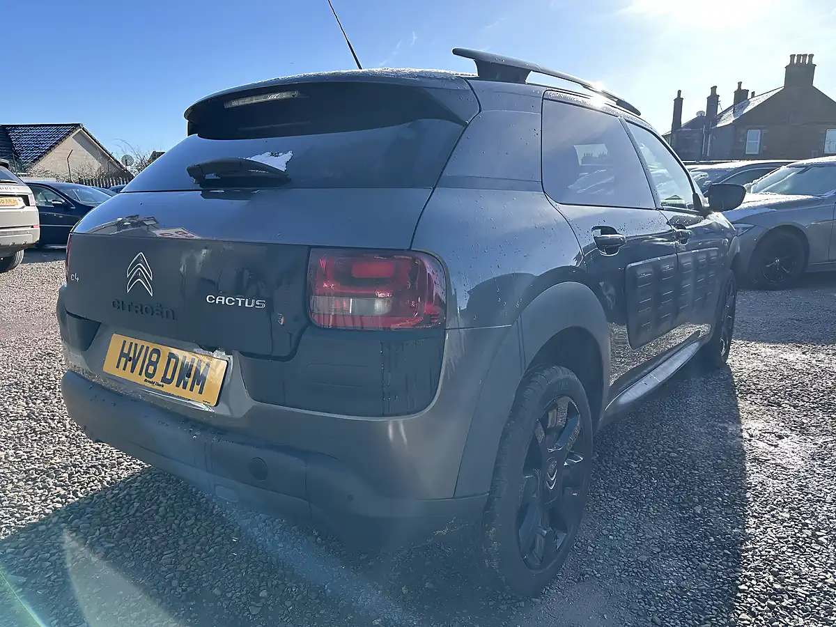 Used 2018 Citroen C4 Cactus Flair Grey - Interior and Exterior details 13