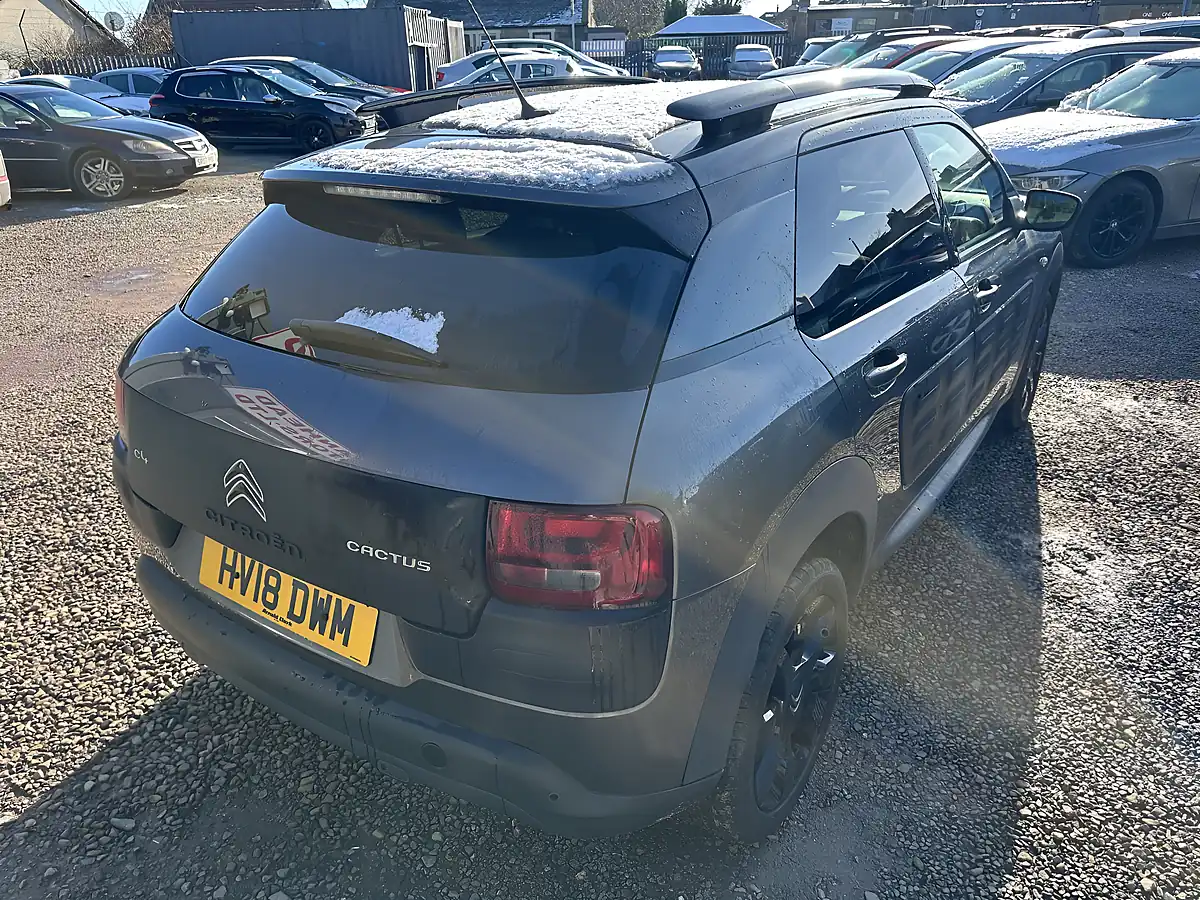 Used 2018 Citroen C4 Cactus Flair Grey - Interior and Exterior details 14