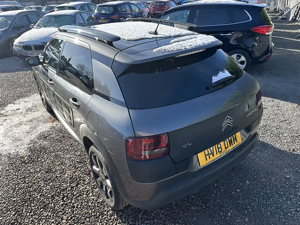 Used 2018 Citroen C4 Cactus Flair Grey - Interior and Exterior details 9