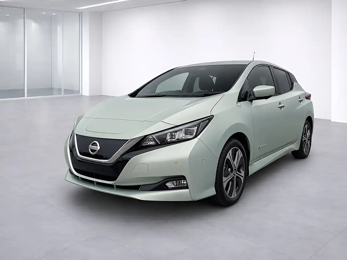 Used 2018 Nissan Leaf Tekna Green - Interior and Exterior details 5