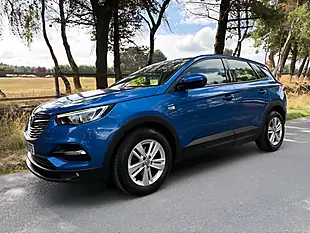 Used 2018 Vauxhall Grandland X Se Blue - Interior and Exterior details 10