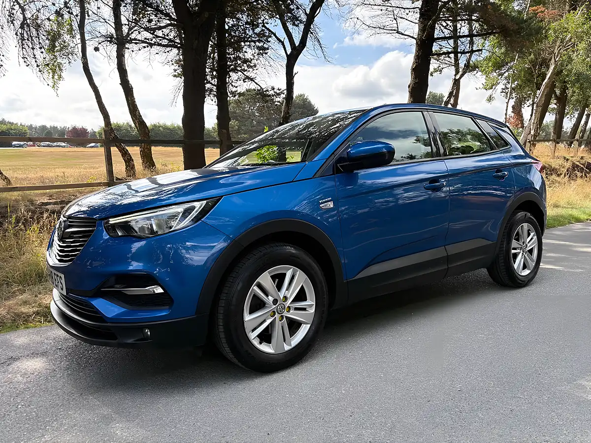 Used 2018 Vauxhall Grandland X Se Blue - Interior and Exterior details 10