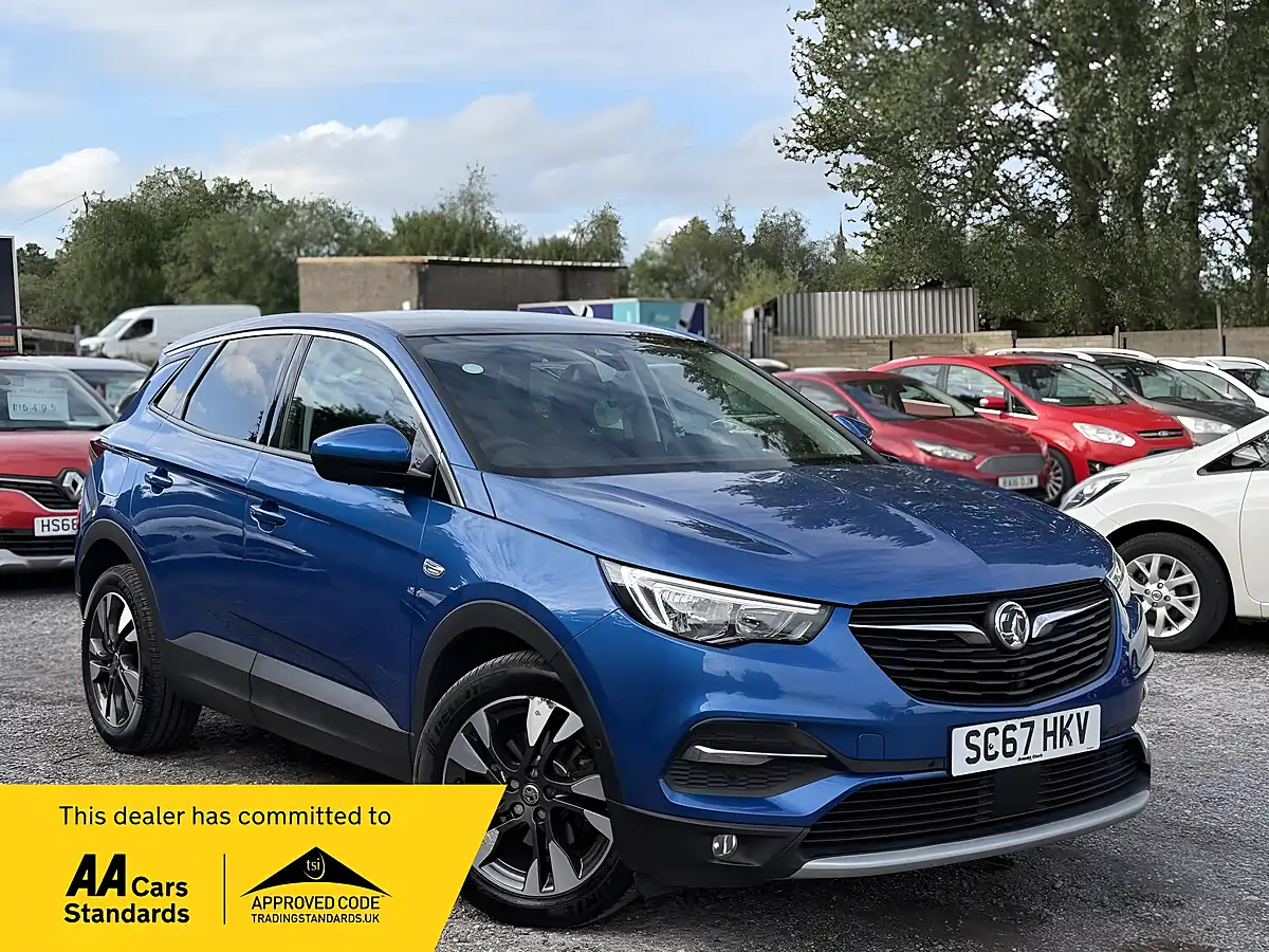 Used 2018 Vauxhall Grandland X Sport Nav Blue - Front View