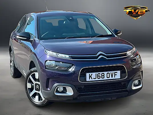 2019 Citroen C4 Cactus Flair 1.2 PureTech