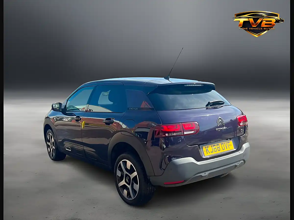 Used 2019 Citroen C4 Cactus Flair Deep Purple - Interior and Exterior details 10