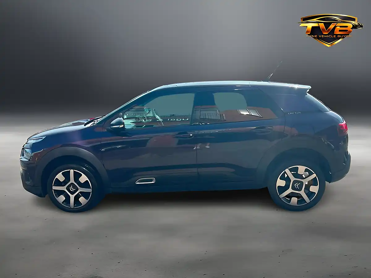 Used 2019 Citroen C4 Cactus Flair Deep Purple - Interior and Exterior details 13