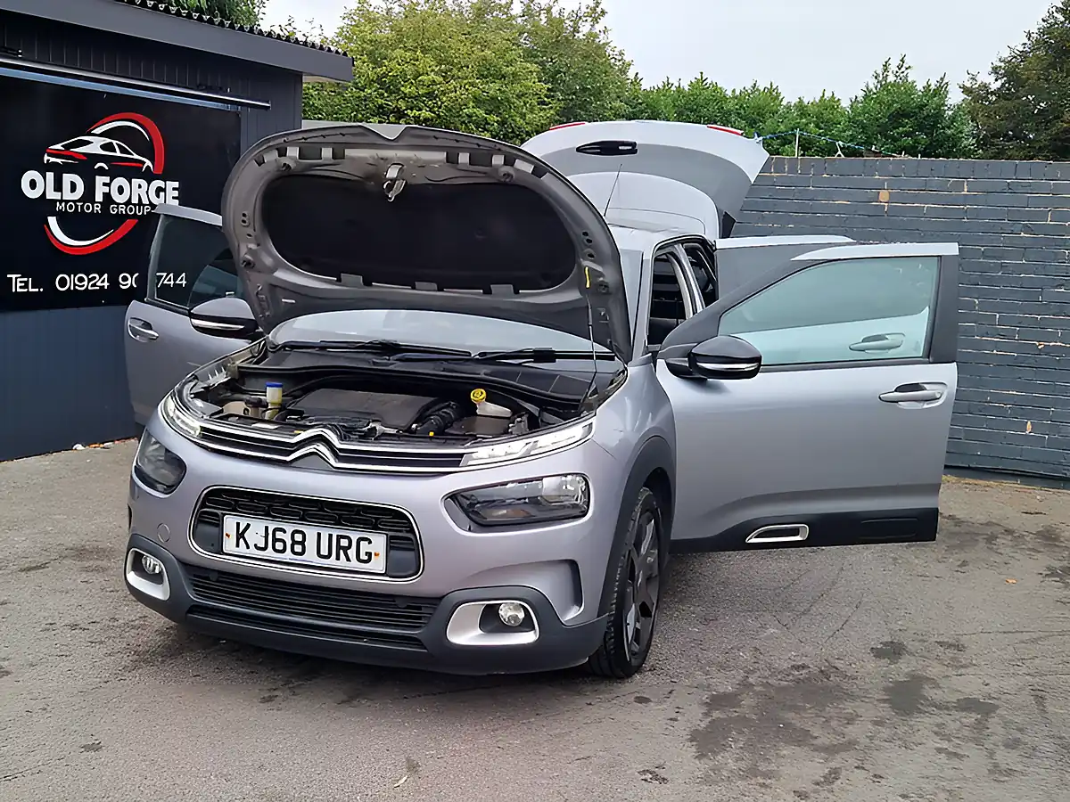 Used 2019 Citroen C4 Cactus Flair Grey - Interior and Exterior details 10