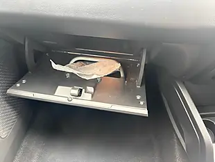 Used 2019 Dacia Duster Comfort Orange - Interior and Exterior details 20