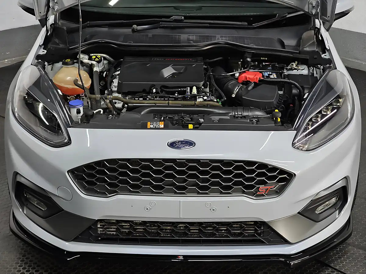 Used 2019 Ford Fiesta ST-3 Silver Fox - Interior and Exterior details 20