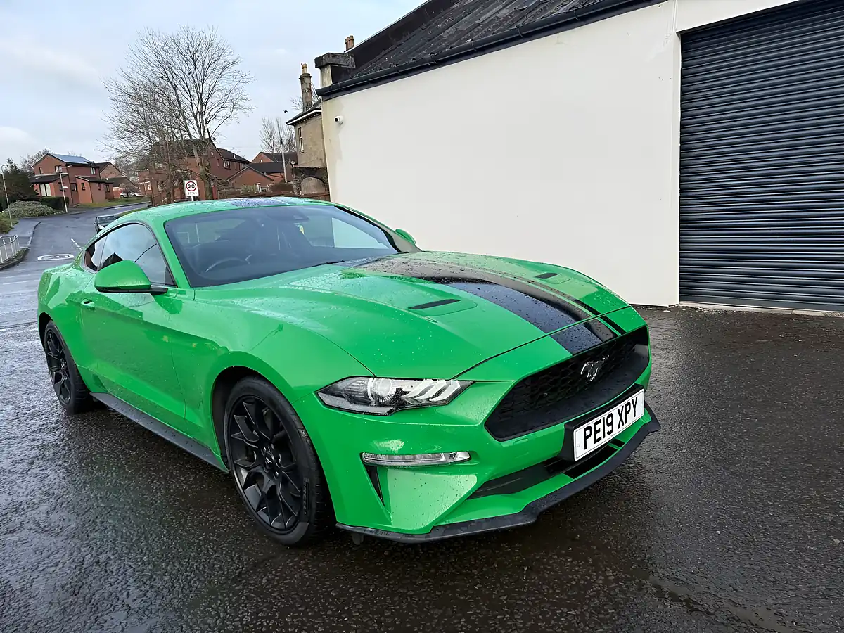 Used 2019 Ford Mustang Fastback Green - Interior and Exterior details 12